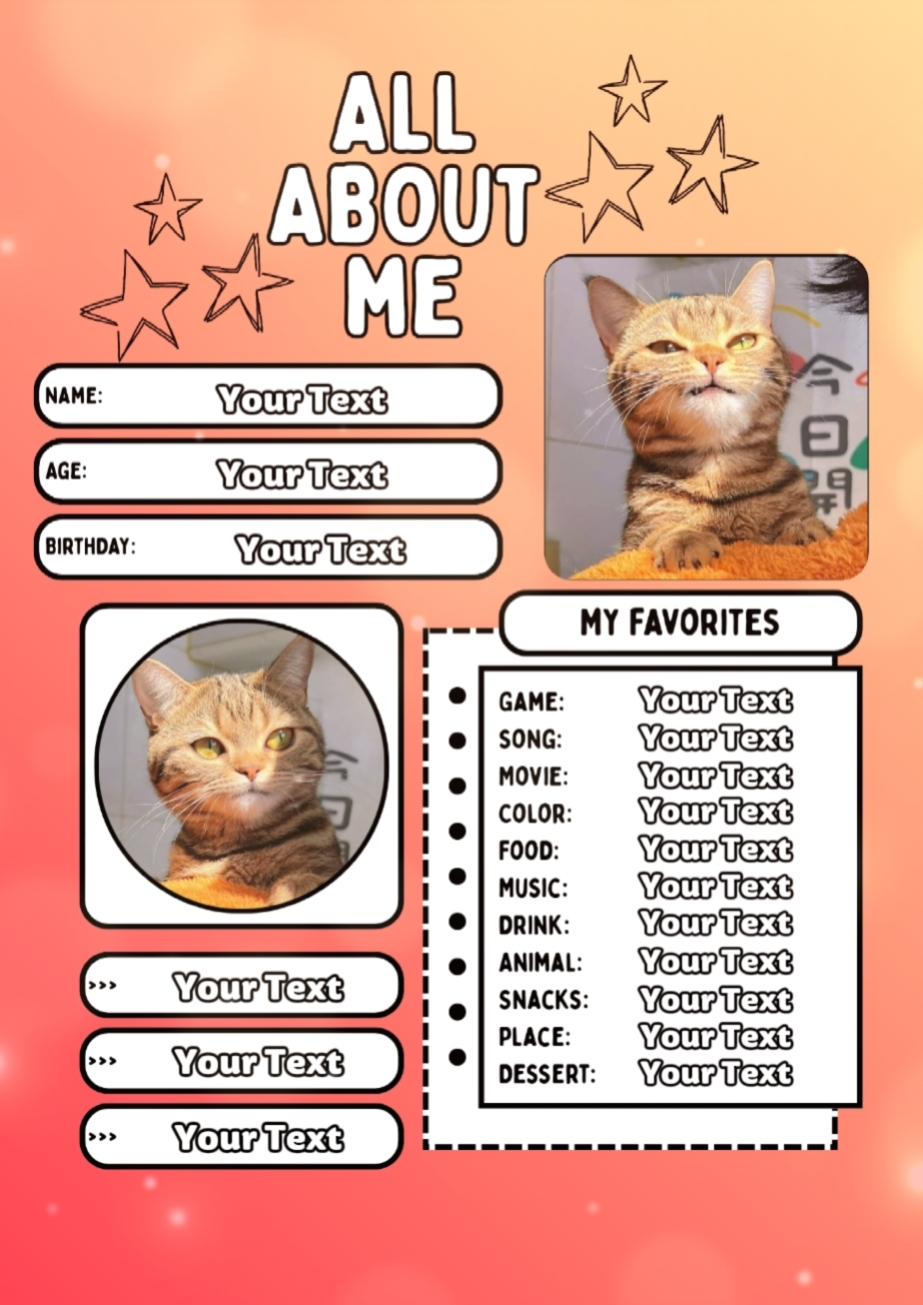 Chat 