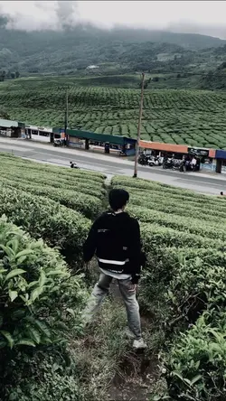 Introxplutoprojector