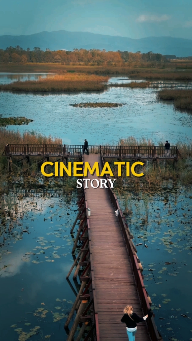 CINEMATIC STORY