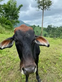 แปรงร่างงง😂