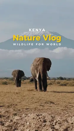 wildlife vlog