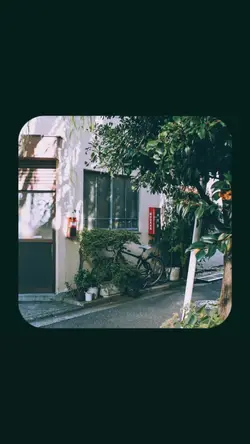 บรรยากาศเดิมๆ🌳🍃
