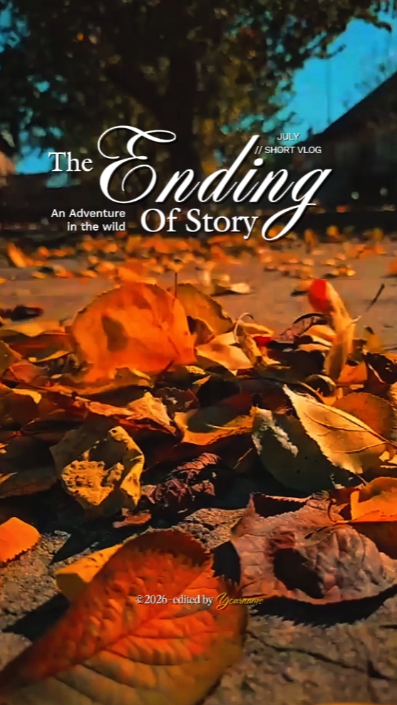 the ending of story