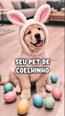 Seu Pet de Coelho 