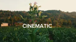 call of silence 16:9