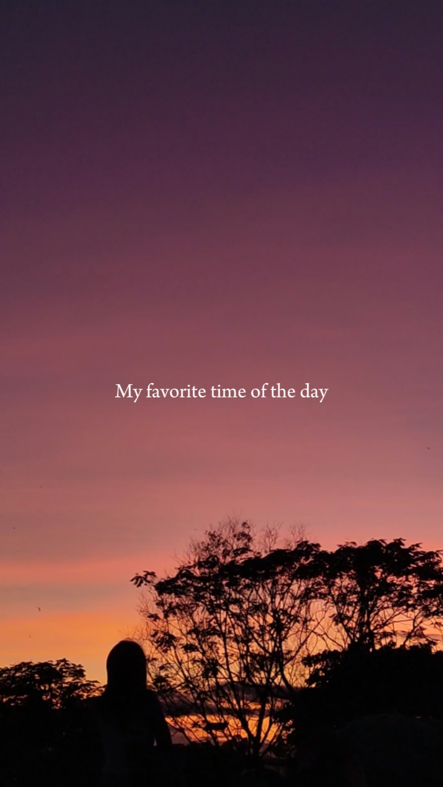 Dia favorito