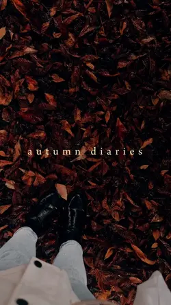 autumn diaries 🍂