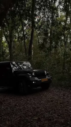 Thar Cinematic #jeep