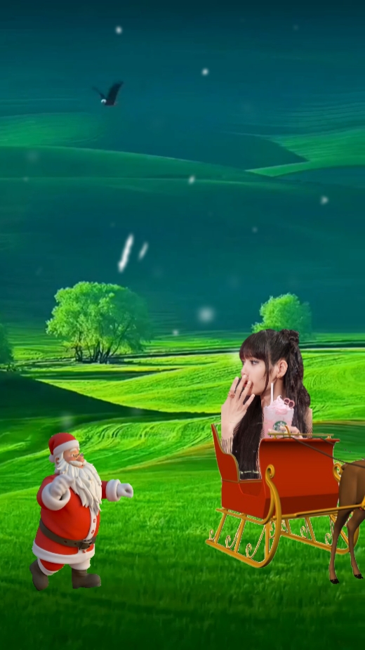 Santa sleigh's theif