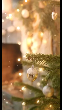 merry Christmas all