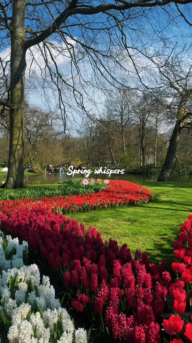 Spring whispers 
