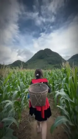 nhiều video slow 