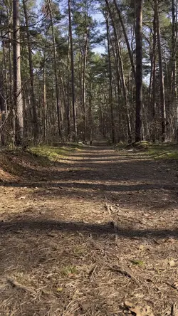 DOGGIE SLOWMO