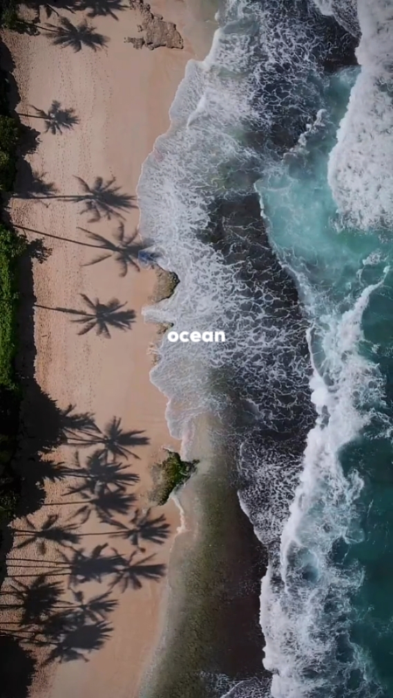 Oceano