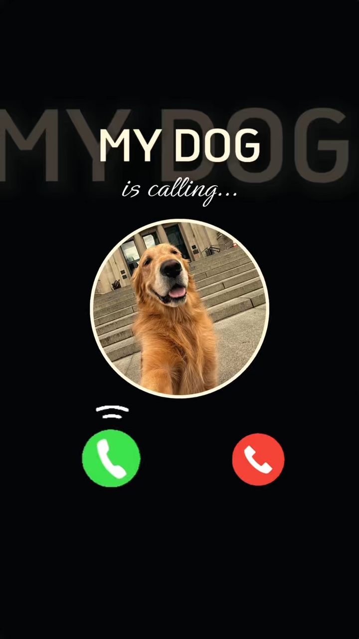 Dog dump photo