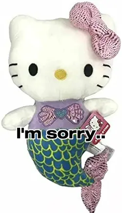 The hello kitty case