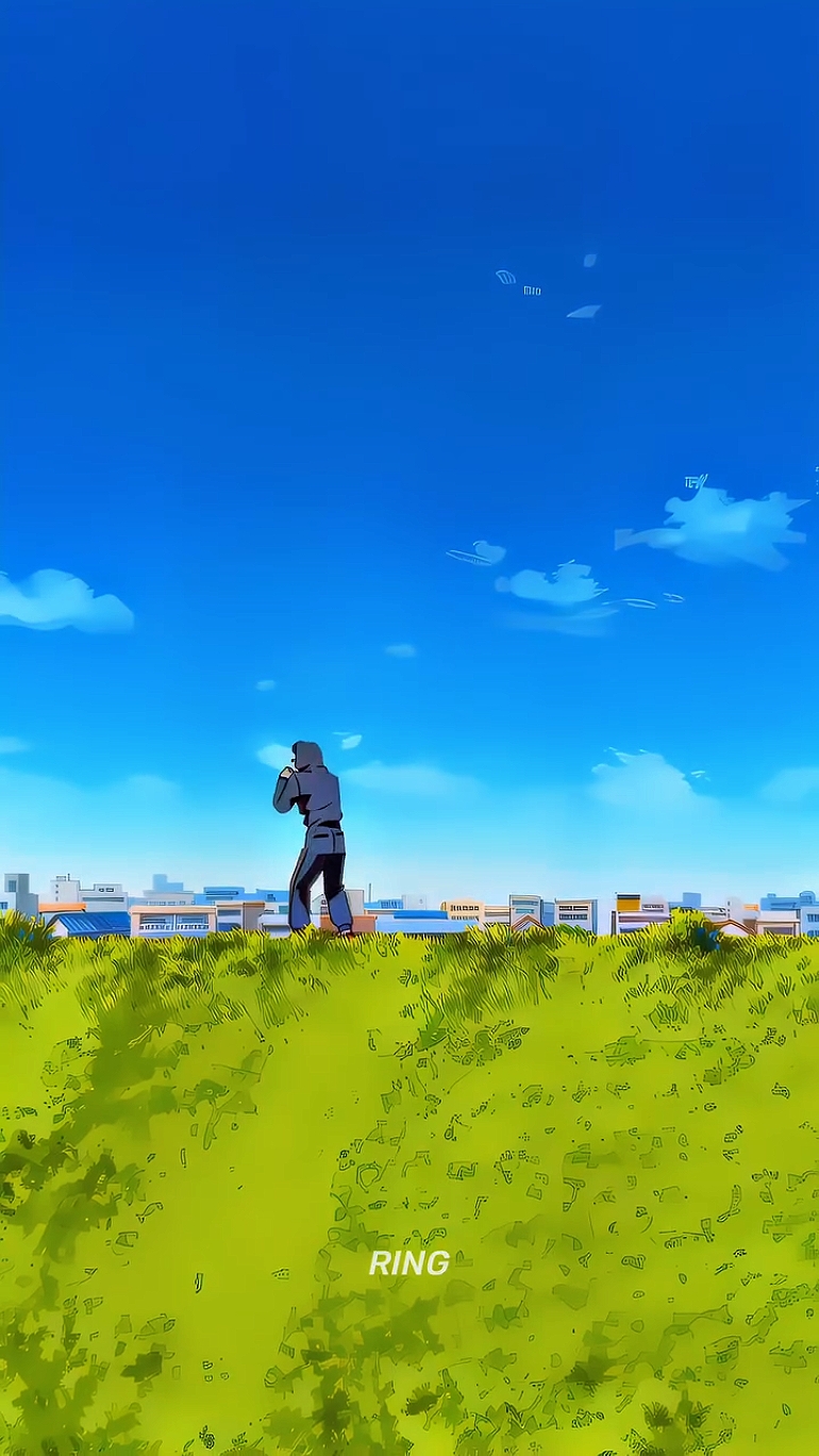 Cover Picture