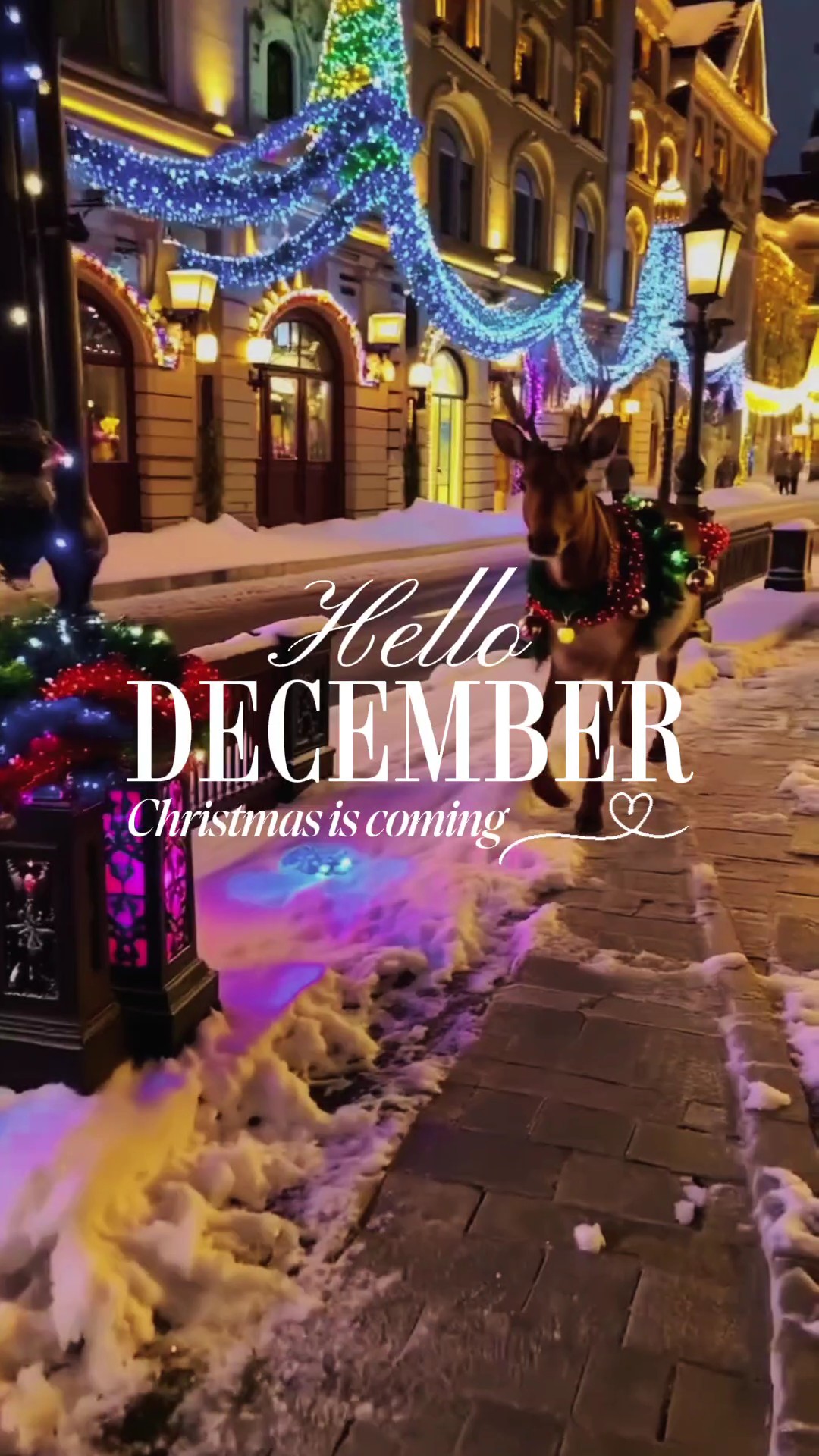 Hola diciembre de 2025