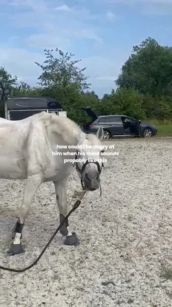Dadadadada hahahahh
