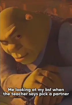 Shreck/bsf