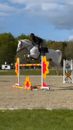 smooth slomotion