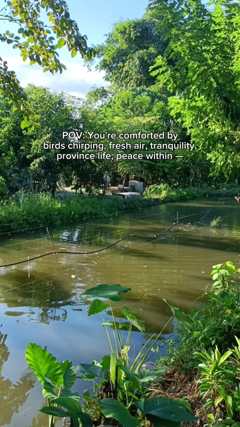 Buhay sa Lalawigan