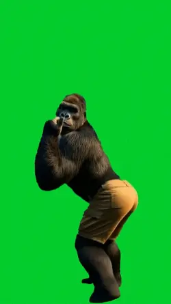 monkey dancing