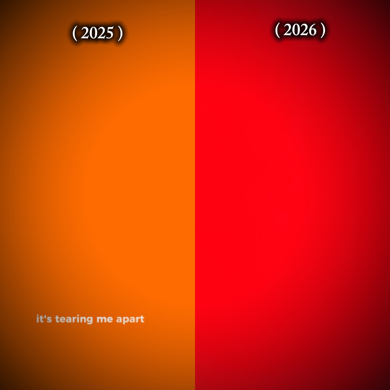 2025 / 2026