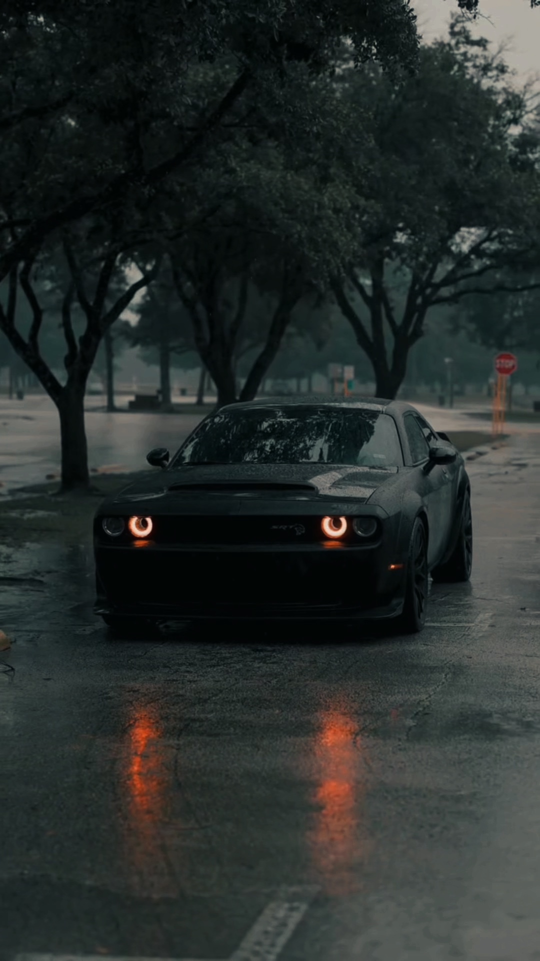 CAR TEMPLATE🤯