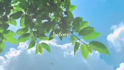 before after