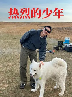 热烈的少年