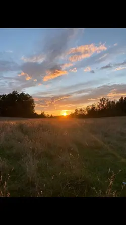 Simply see you later