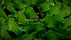 Simple Cinematic 4K