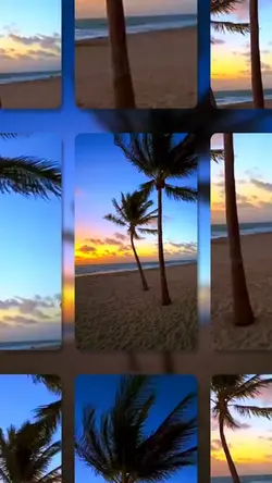 Video or photo