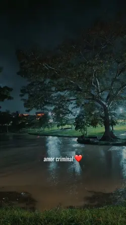 Amor criminal ❤️