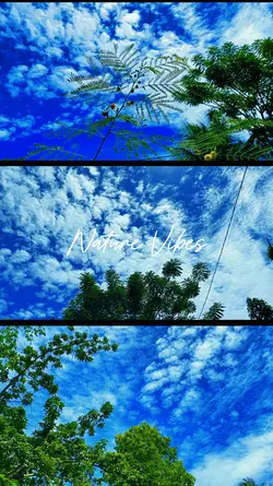Natural Vibes 
