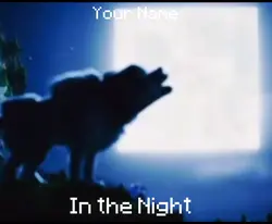 FE!N AND STEVE SONG