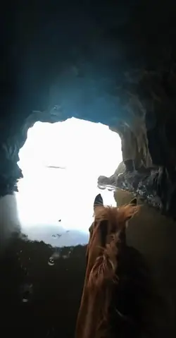 Diamond in the sky
