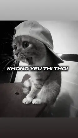 KHÔNG YÊU THÌ THÔI