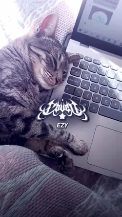 dj cintaku suci tren