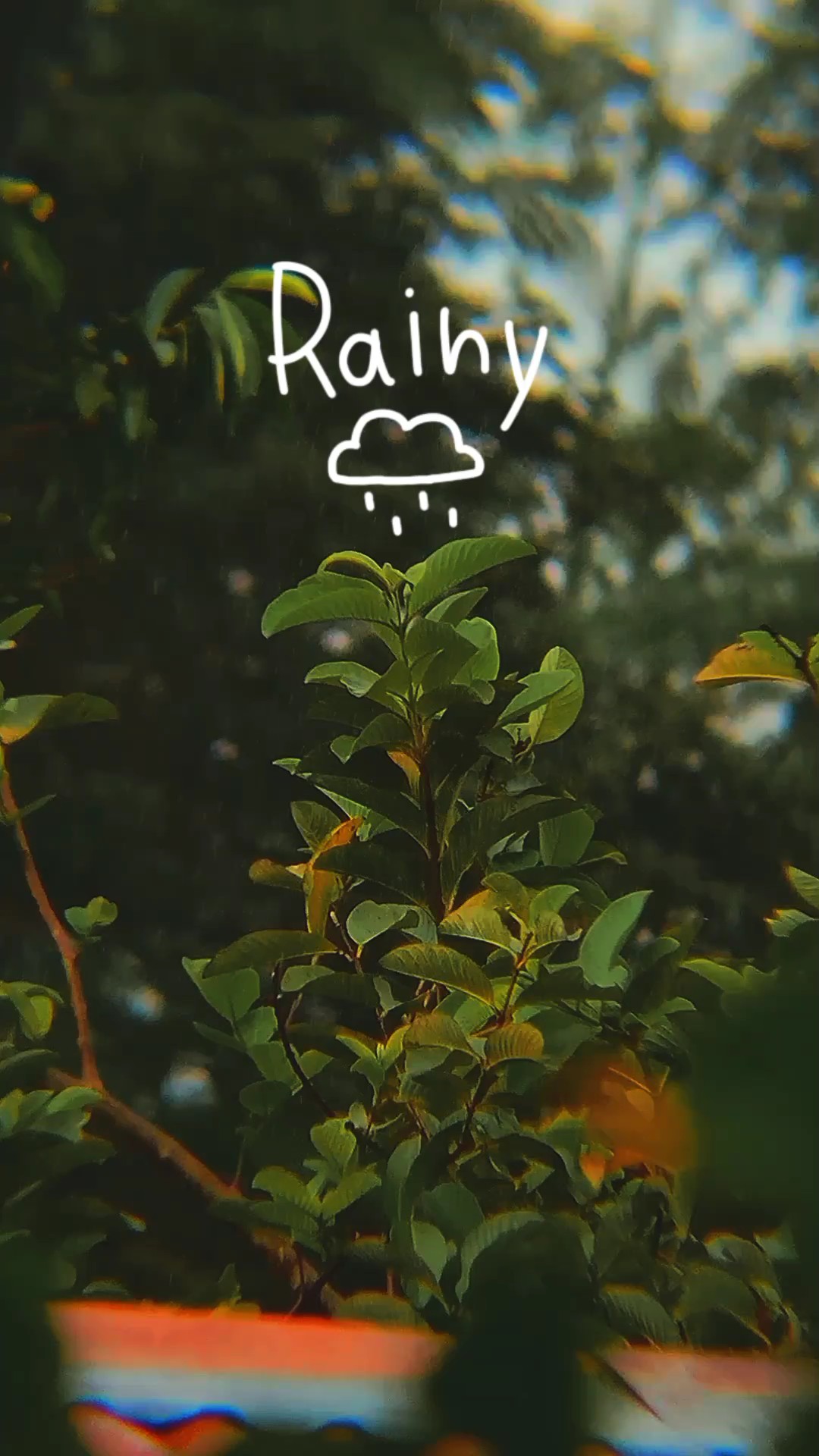Hari hujan