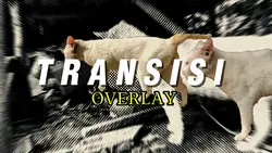 TRANSISI OVERLAY 