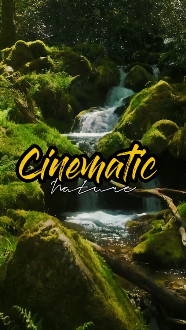 Kinoreife Natur 