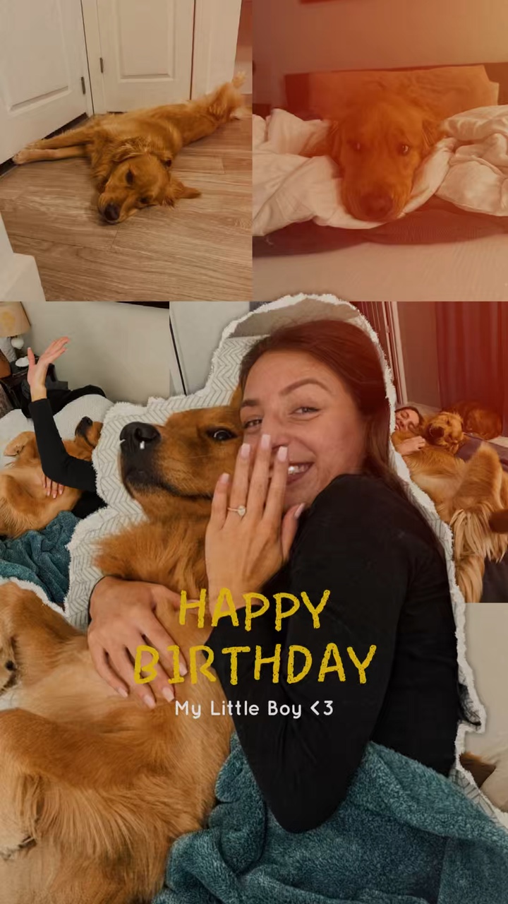 Dog Birthday🐶🫶