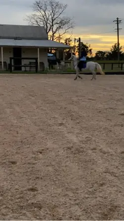 fairy vibes 🧚‍♀️ 