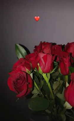 Rose lover