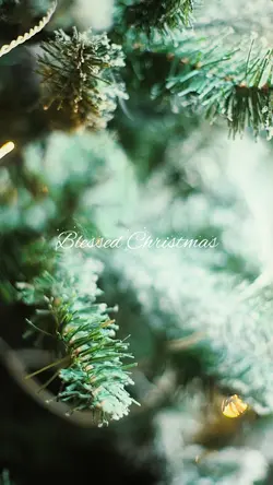 Blessed christmas 