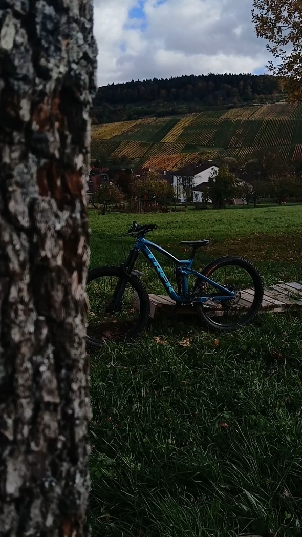 Edición de bicicleta