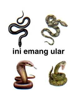 ini emang ular 