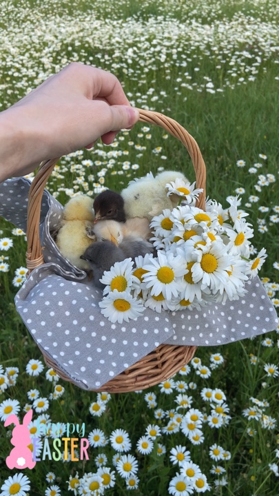 Frohe Ostern